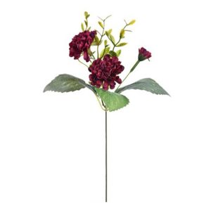 SANTINI NA PIKU LIU466 BURGUNDY MIX3