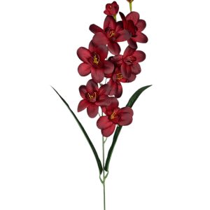 STORCZYK POJEDYNCZY G031 BURGUNDY - AUT MIX