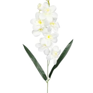 STORCZYK POJEDYNCZY G031 CREAM MIX1