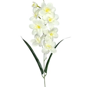 STORCZYK POJEDYNCZY G031 DK.CREAM - AUT MIX