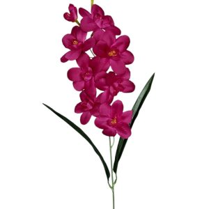 STORCZYK POJEDYNCZY G031 FUCHSIA - AUT MIX