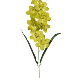 STORCZYK POJEDYNCZY G031 GREEN - AUT MIX