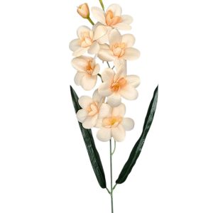 STORCZYK POJEDYNCZY G031 LT.PEACH - AUT MIX