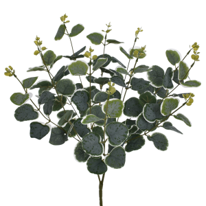 BUKIET EUKALIPTUS EUK004 WHITE GREEN