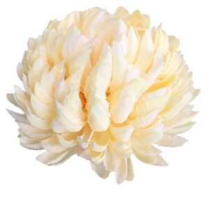 CHRYZANTEMA ANANAS RP006 LT.PEACH #6