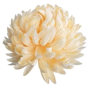CHRYZANTEMA ANANAS RP006 PEACH #4