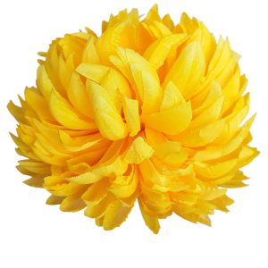 CHRYZANTEMA ANANAS RP006 YELLOW #9