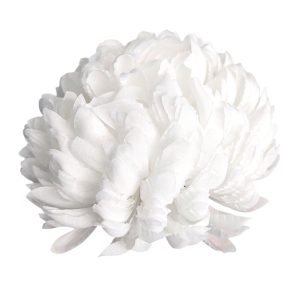 CHRYZANTEMA WYROBOWA ANANAS WW4014 PURE WHITE #W27