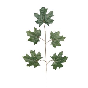 LIŚĆ KLON KP2533 GREEN