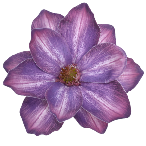 MAGNOLIA WYROBOWA WEI1007 PURPLE