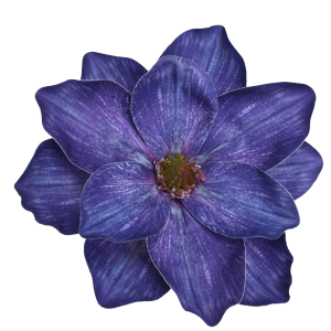 MAGNOLIA WYROBOWA WEI1007 ULTRA VIOLET