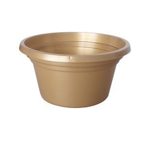 MISA 12 GOLD