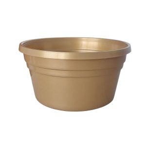 MISA 16 GOLD