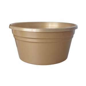 MISA 18 GOLD
