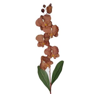 STORCZYK KP3005 CHOCOLATE #XYBR344
