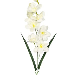 STORCZYK POJEDYNCZY G031 CREAM - AUT ASS-2