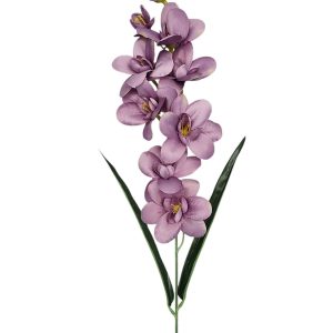 STORCZYK POJEDYNCZY G031 VIOLET - AUT ASS-2