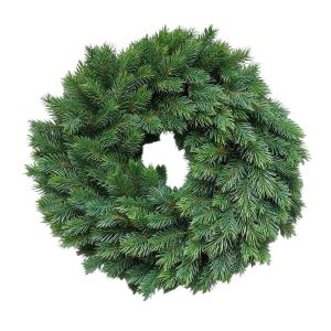 WIANEK CH084 GREEN