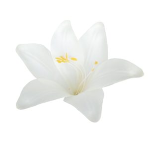 LILIA WYROBOWA WW2021 CREAM #MA127CR