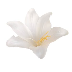 LILIA WYROBOWA WW2021 IVORY