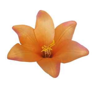 LILIA WYROBOWA WW2021 ORANGE MA163 OR305