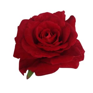 RÓŻA WYROBOWA - WELUROWA 6JX01