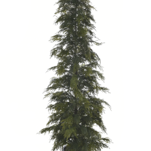 TUJA W DONICZCE XYD006 GREEN