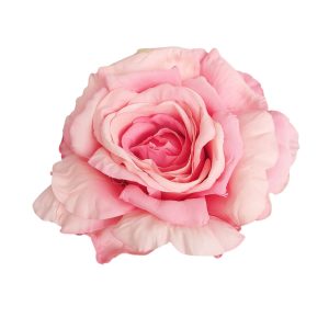 RÓŻA WYROBOWA ET943 PINK EDGE GREEN #4
