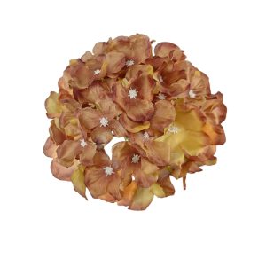 HORTENSJA WYROBOWA J248A BROWN