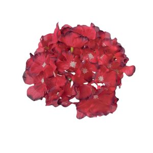 HORTENSJA WYROBOWA J248A DK.CHERRY