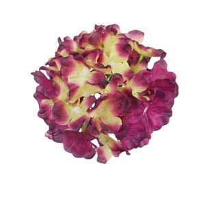 HORTENSJA WYROBOWA J248A PURPLE