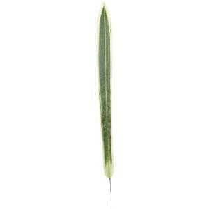 LIŚĆ DRACENA KP2604