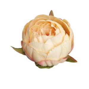 PIWONIA WYROBOWA N006 LEMON PINK