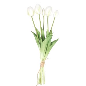 TULIPAN GUMOWY DL031915 CREAM GREEN