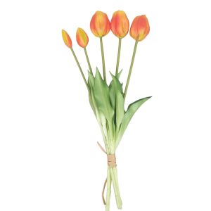 TULIPAN GUMOWY DL031915 ORANGE YELLOW GREEN