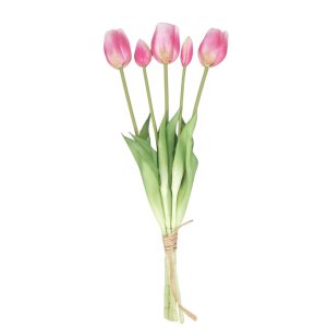 TULIPAN GUMOWY DL031915 PINK CREAM