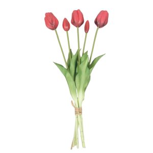 TULIPAN GUMOWY DL031915 RED