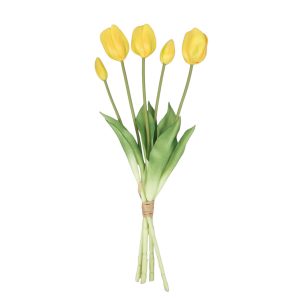 TULIPAN GUMOWY DL031915 YELLOW GREEN