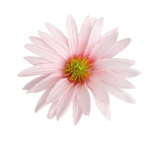 JEŻÓWKA WYROBOWA AL012 LT.PINK