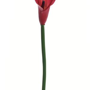 KALLA POJEDYNCZA ANA1013 #91S BEET