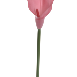 KALLA POJEDYNCZA ANA1013 JUICY PINK