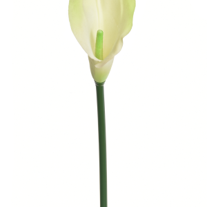 KALLA POJEDYNCZA ANA1013 # 137S LT.GREEN