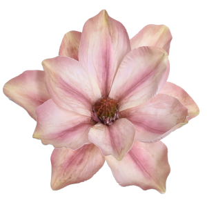 MAGNOLIA WYROBOWA WEI1007 DIRTY PINK