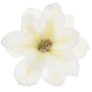 MAGNOLIA WYROBOWA WEI1007 WHITE GREEN