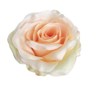 RÓŻA WYROBOWA F-16013 PEACH GREEN N06