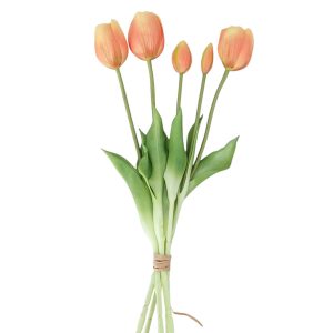 TULIPAN GUMOWY BB2600 ORANGE MIX1