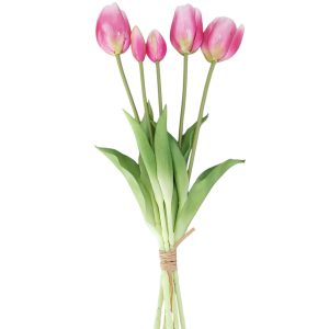 TULIPAN GUMOWY BB2600 PINK CREAM MIX1