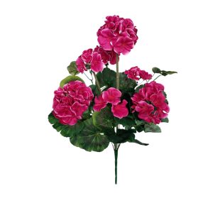 BUKIET PELARGONIA F-544 FUCHSIA