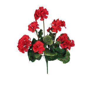 BUKIET PELARGONIA F-544 RED