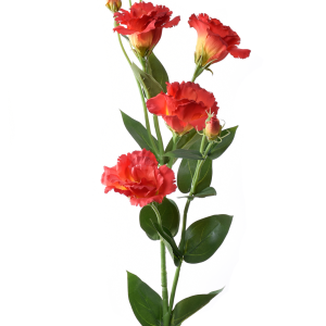 EUSTOMA GAŁĄZKA SUN345 DEEP ORANGE